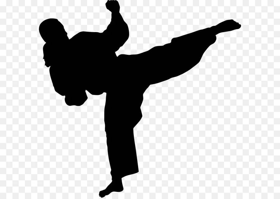 Chute De Karatê，Artes Marciais PNG