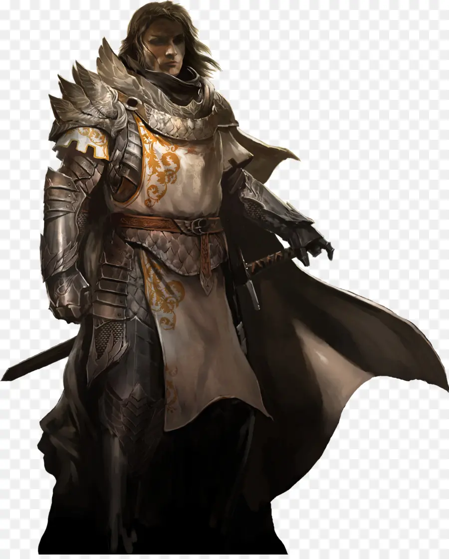 Guild Wars 2，Dungeons Dragons PNG
