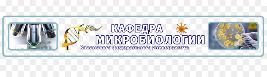 Kazan Universidade Federal，Microbiologia Tutorial PNG