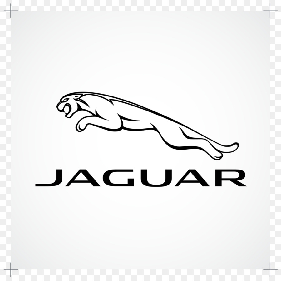 Jaguar Desempenho Eau De Toilette Spray，Jaguar Classic Homens Eau De Toilette 40 Ml PNG