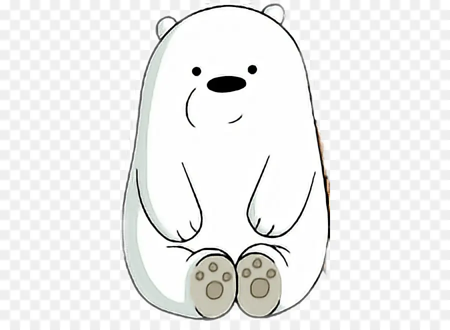 Urso，Panda Gigante PNG