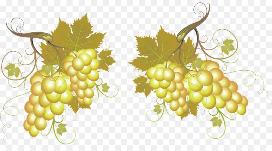 Uvas，Verde PNG