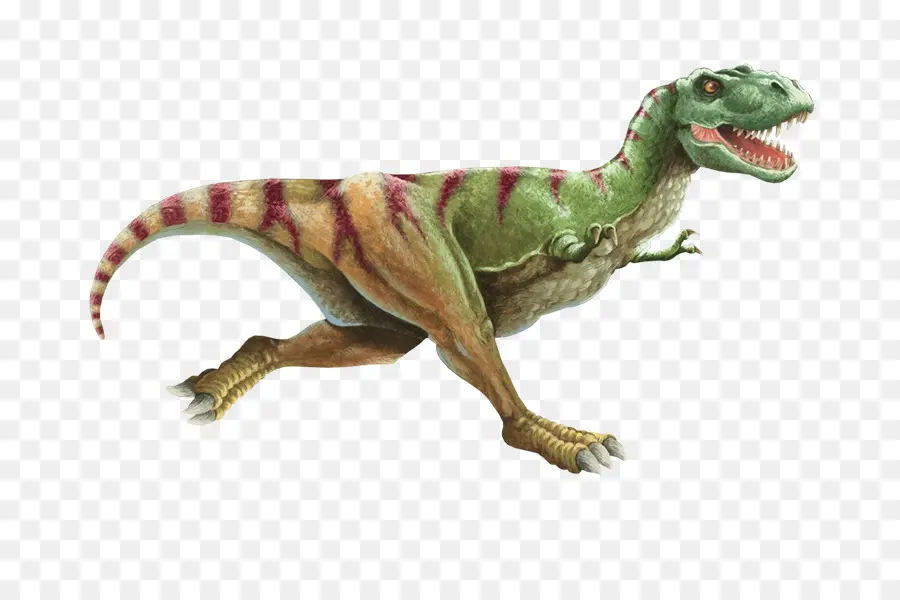 Dinossauro，Tiranossauro PNG