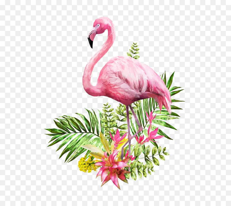 Flamingo，Pintura Em Aquarela PNG