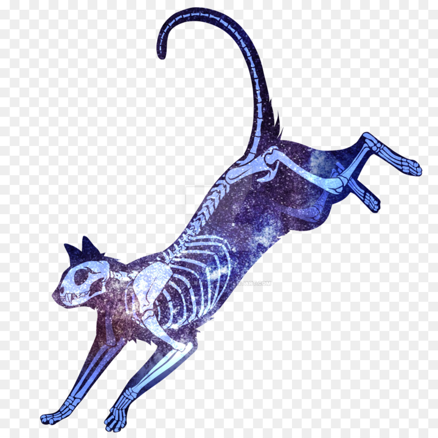 Ilustra O De Esqueleto De Gato，Gato PNG