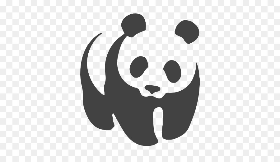 design de símbolo de sinal de ícone de desenho de panda 10160162 PNG