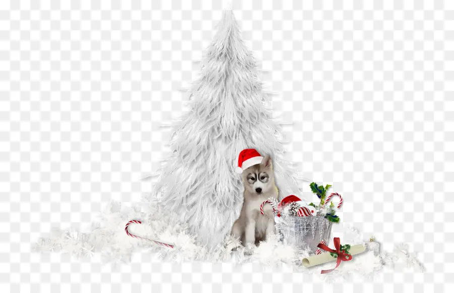 Cachorrinho De Natal，Filhote De Cachorro PNG