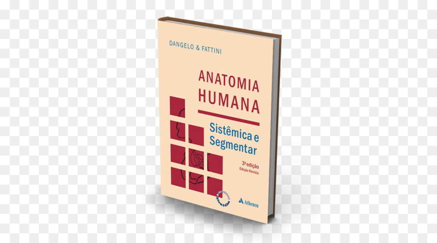 Anatomia，Anatomia Humana PNG