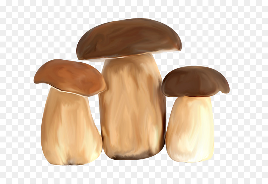 Cogumelos，Fungos PNG