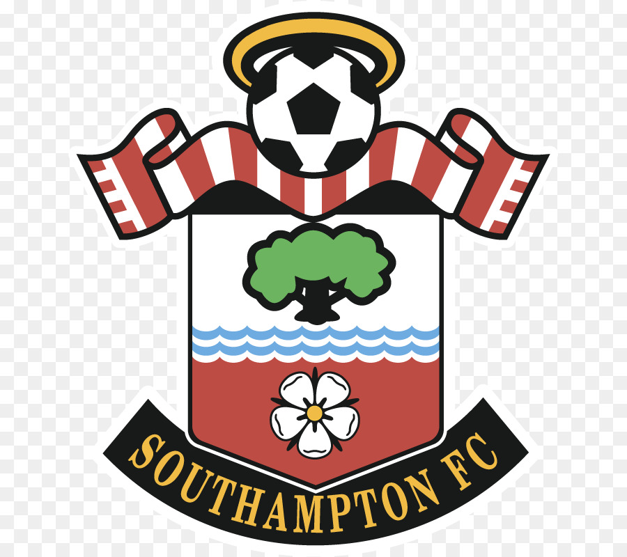 Southampton Fc，Futebol PNG