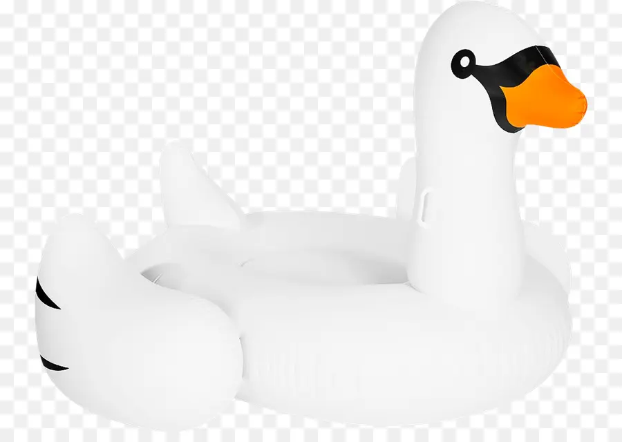 Cisne Inflável，Cisne PNG