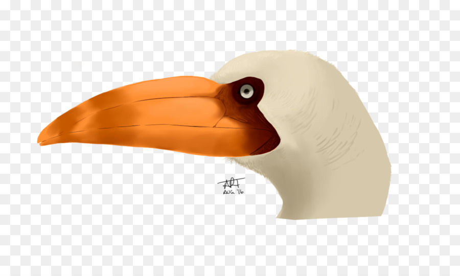 Pássaro，Dinossauro PNG