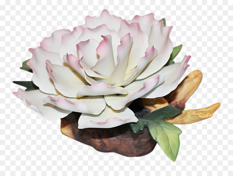 Rosa M，Flowerpot PNG