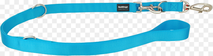 Leash，Coleira De Cão PNG