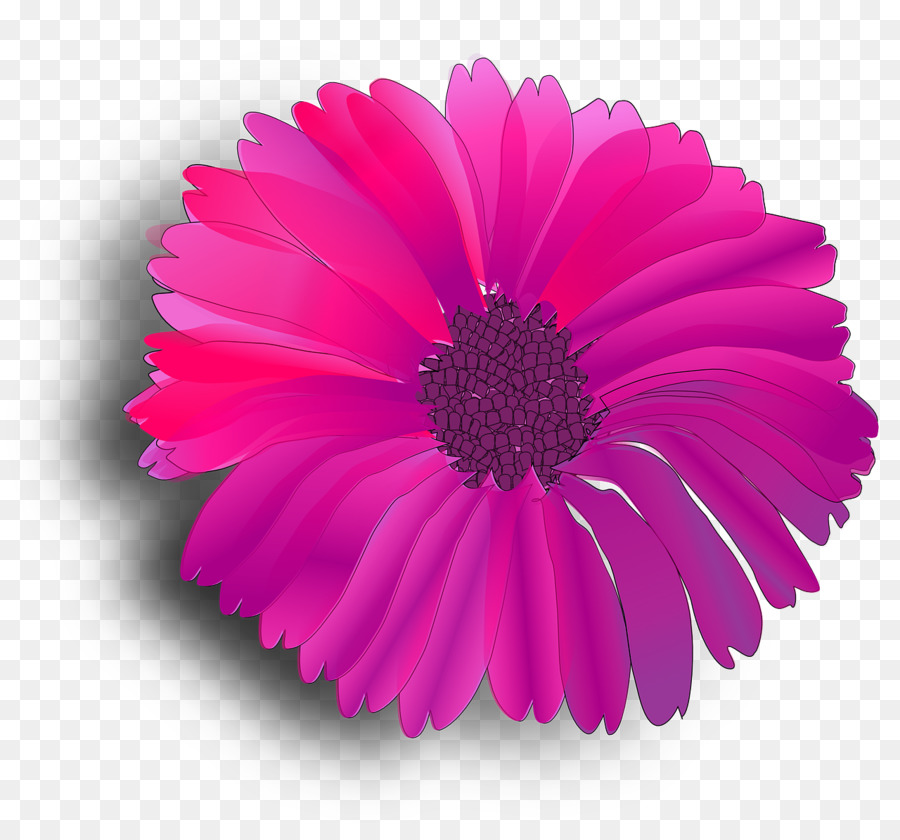 Flor Rosa，Florescer PNG