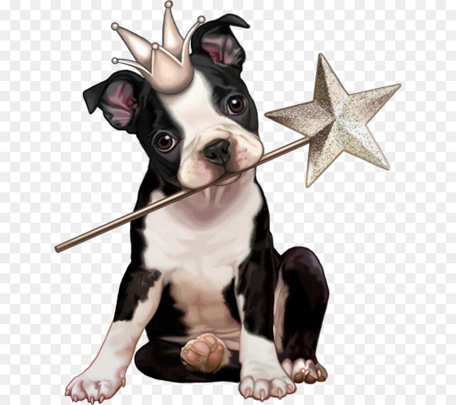 Cachorrinho Com Coroa，Filhote De Cachorro PNG