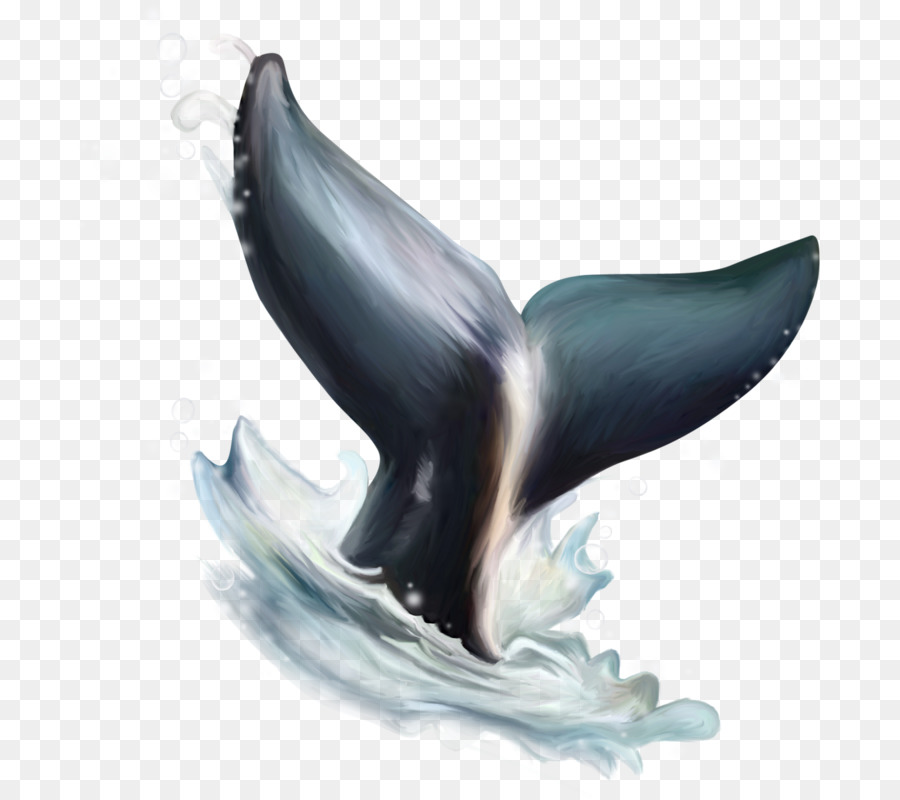 Dolphin，Figurine PNG