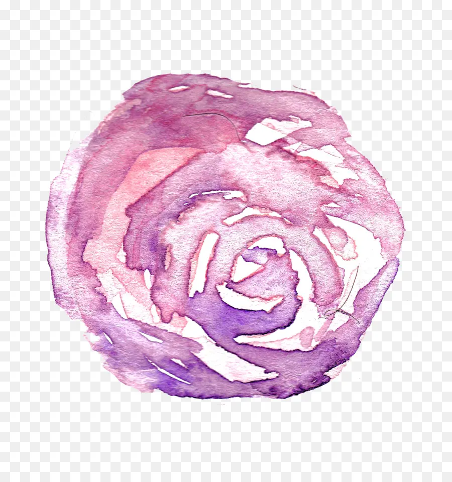 Rosa Aquarela，Rosa PNG