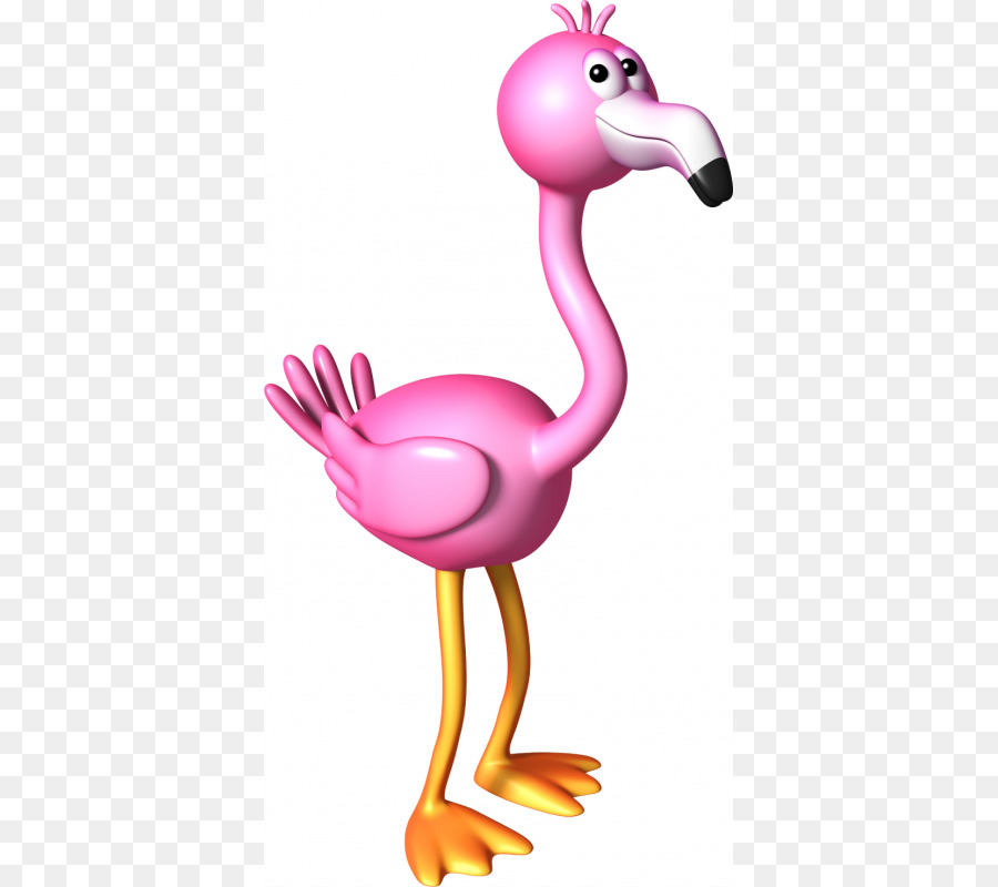 Flamingo Rosa，Bico PNG