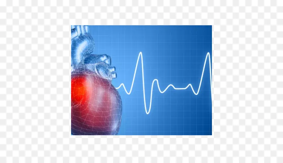 Coração E Ecg，Ecg PNG