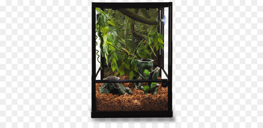 Exo Terra Glass Terrarium，Aquário PNG