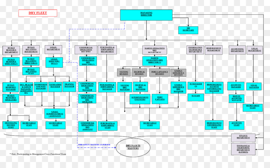 Organização，Gráfico Organizacional PNG