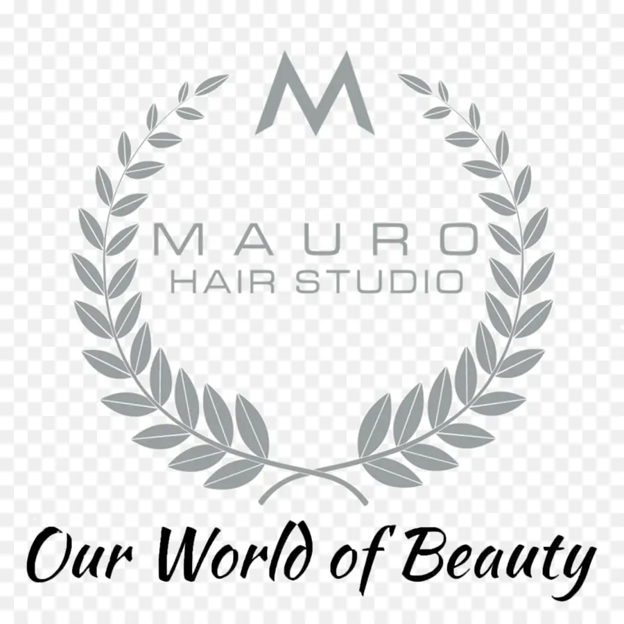 Studio Hair Logo，Salão PNG