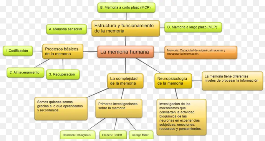 Memória，Psicologia PNG