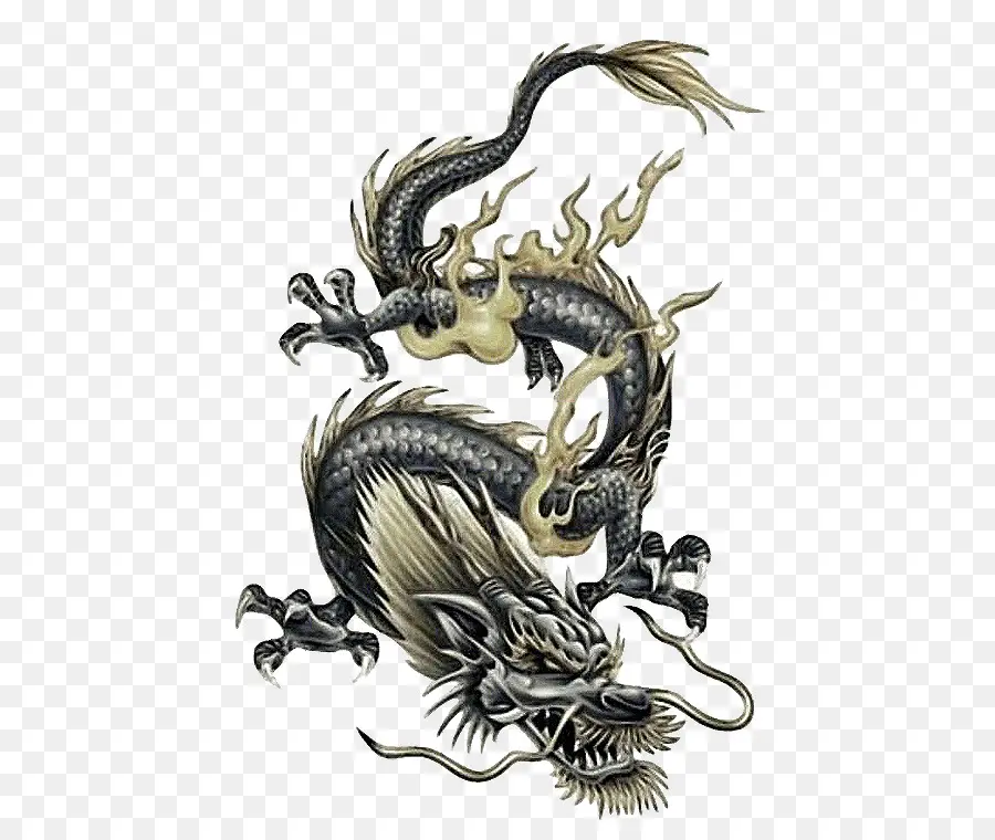 Japonesa Dragon，Dragão Chinês PNG