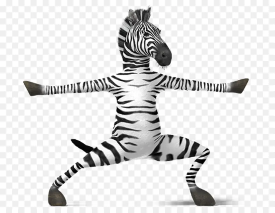 Zebra Da Ioga，Zebra PNG