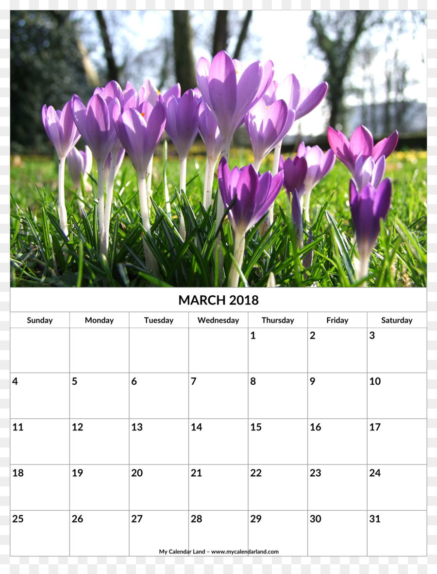 Calendário，Primavera PNG