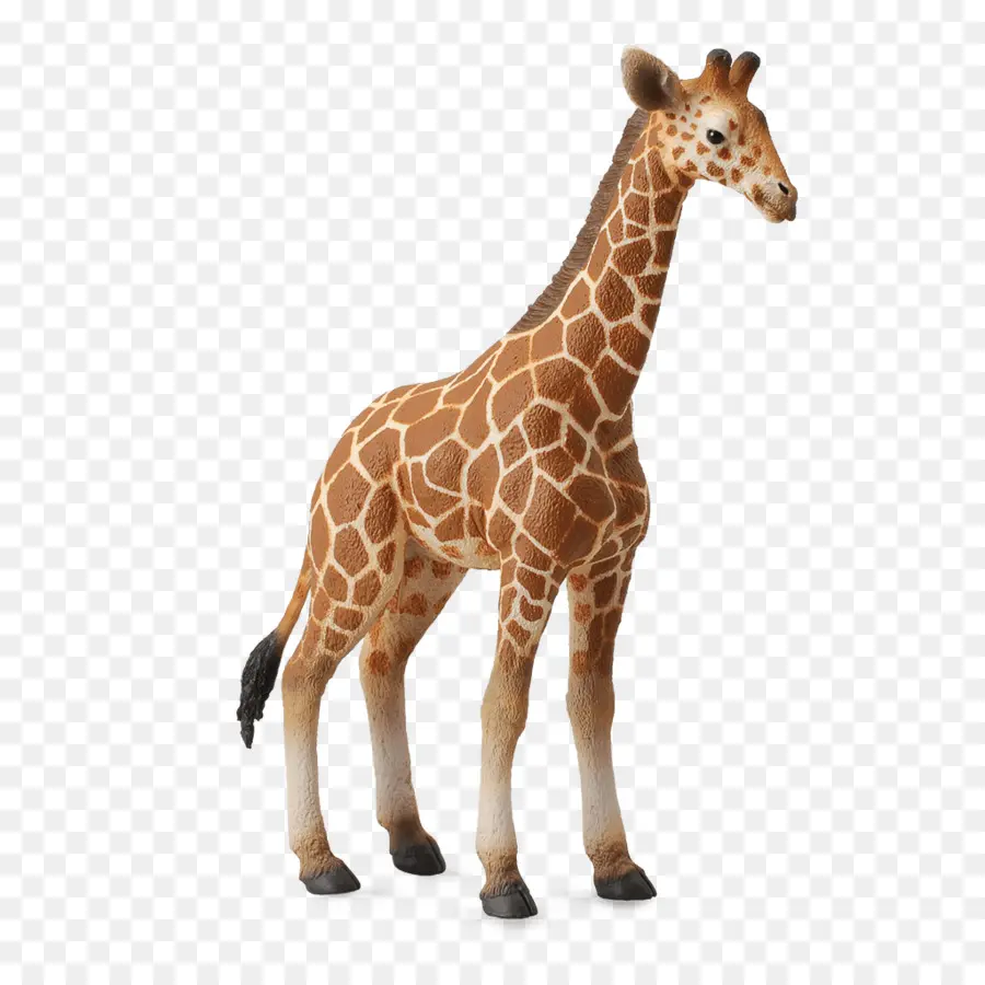 Girafa De Madeira，Animal PNG