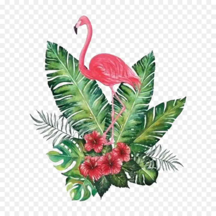 Flamingo，Pintura Em Aquarela PNG