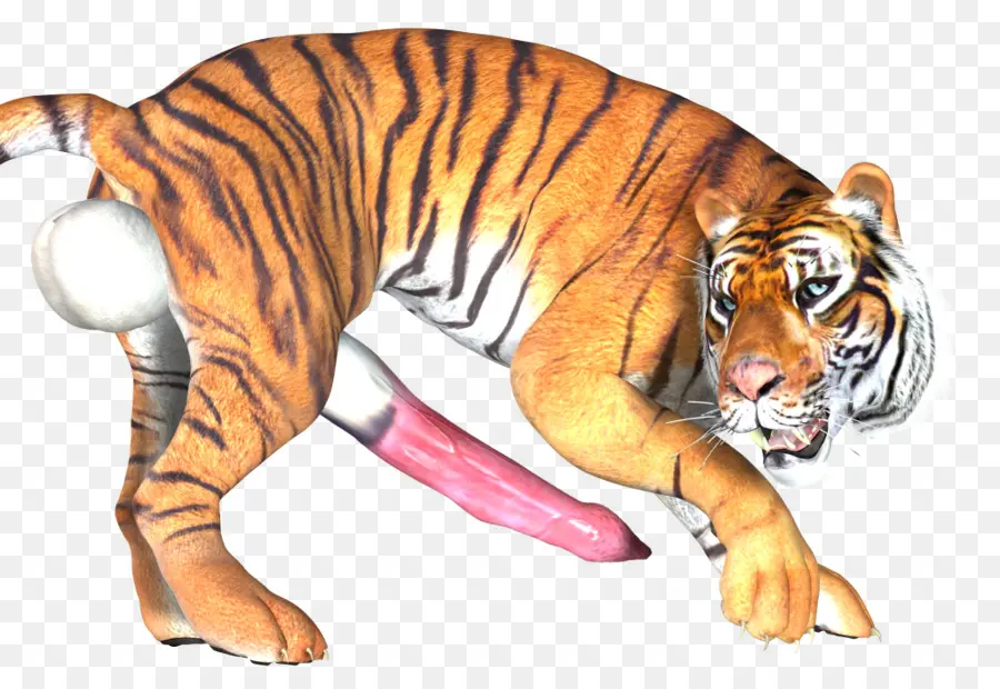 Tigre，Listras PNG