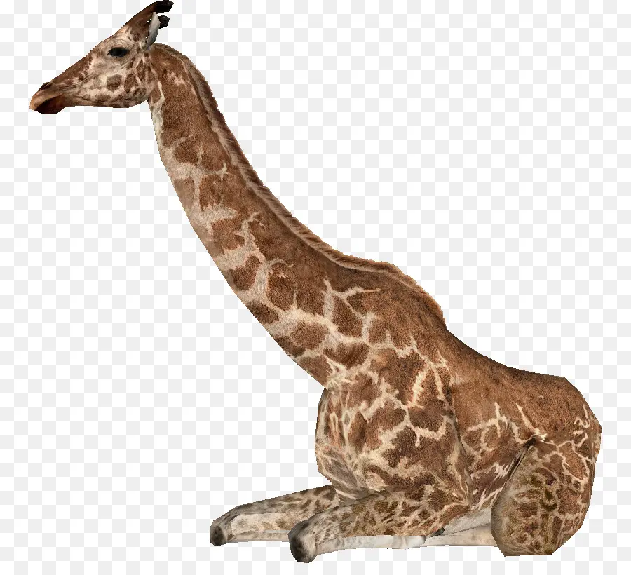 Zoo Tycoon 2 Animais Extintos，Girafa Jumae PNG