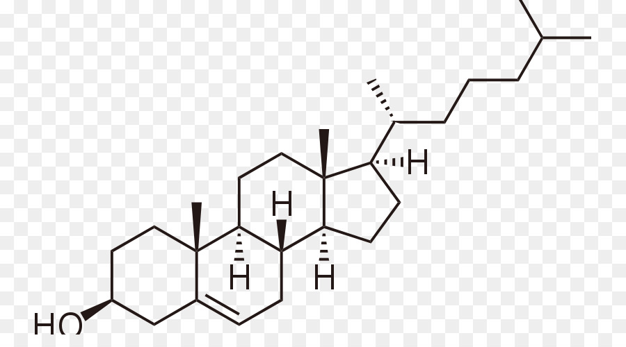 Molécula，Amphiphile PNG