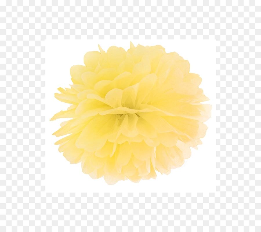 Flor，Amarelo PNG