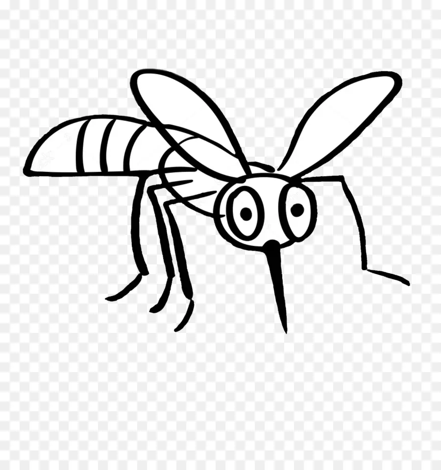 Desenho，Mosquito PNG