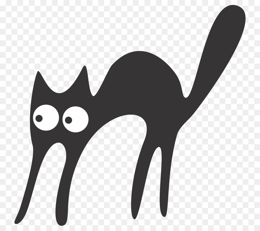 Gato Preto，Gato PNG