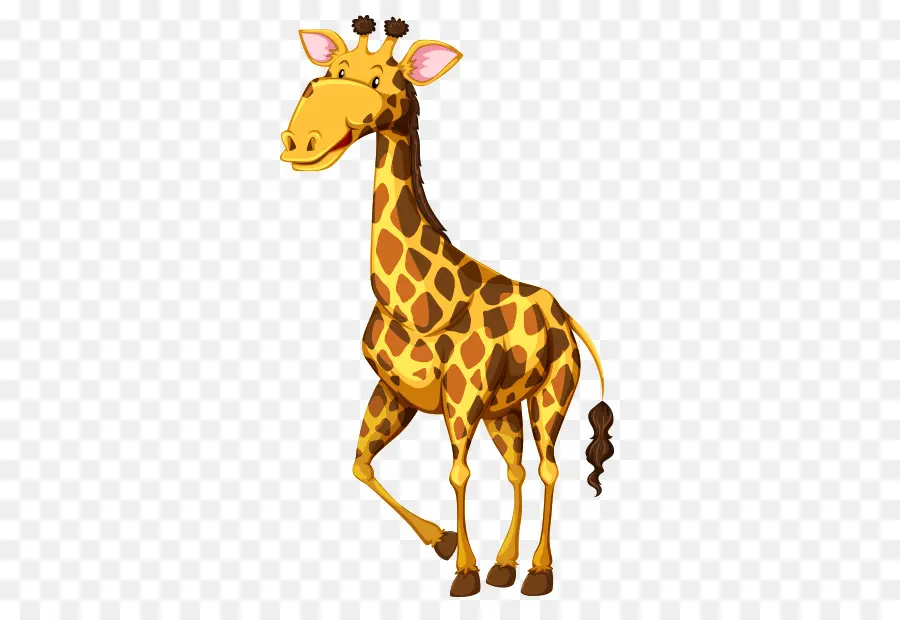 Girafa De Desenho Animado，Bonitinho PNG