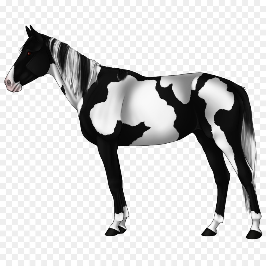 Cavalo Preto E Branco，Cavalo PNG