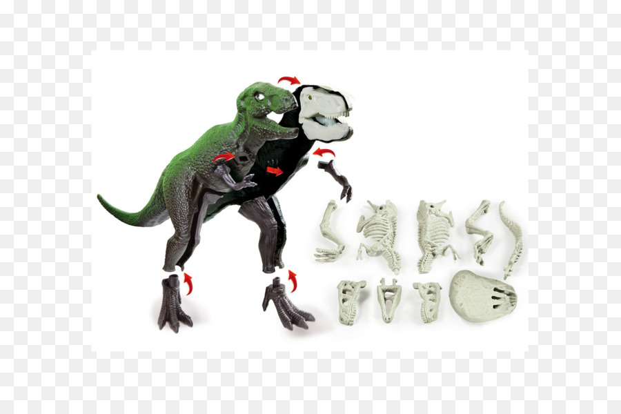 Cachorro，Tiranossauro Rex PNG