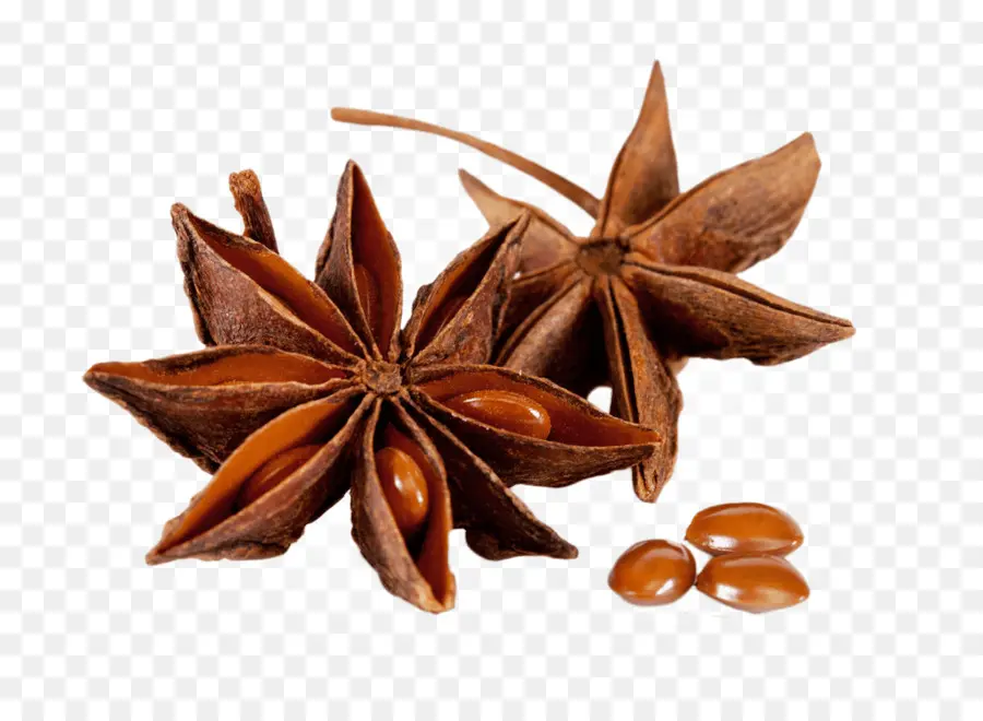 Spice，São Anis PNG