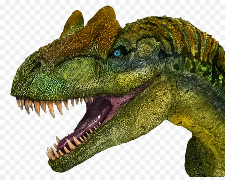 Tiranossauro Rex，Dentes PNG