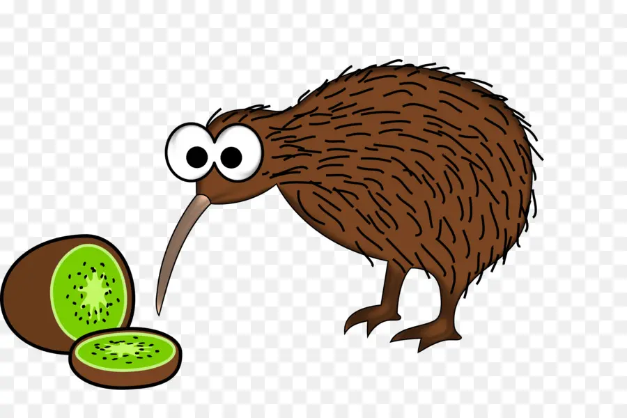 Pássaro Kiwi，Fruta PNG