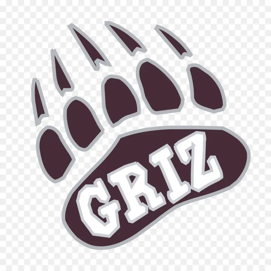 Universidade De Montana，Montana Grizzlies Futebol PNG