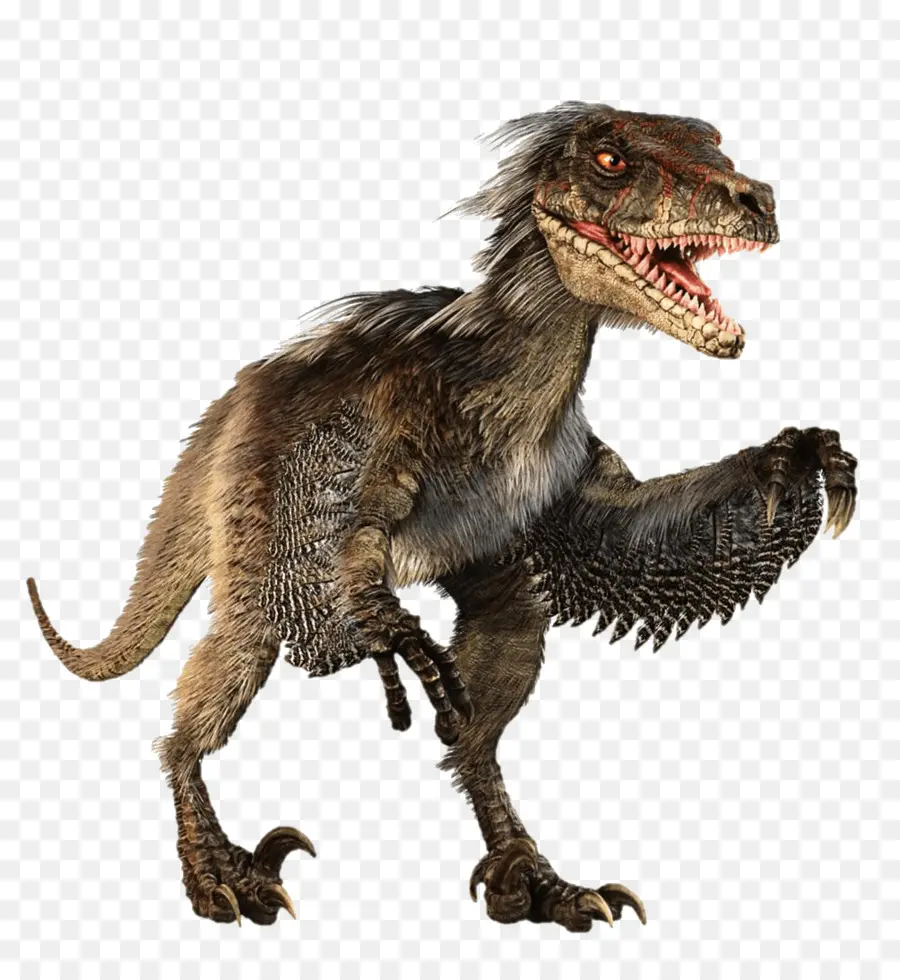 Velociraptor，Dinossauro PNG