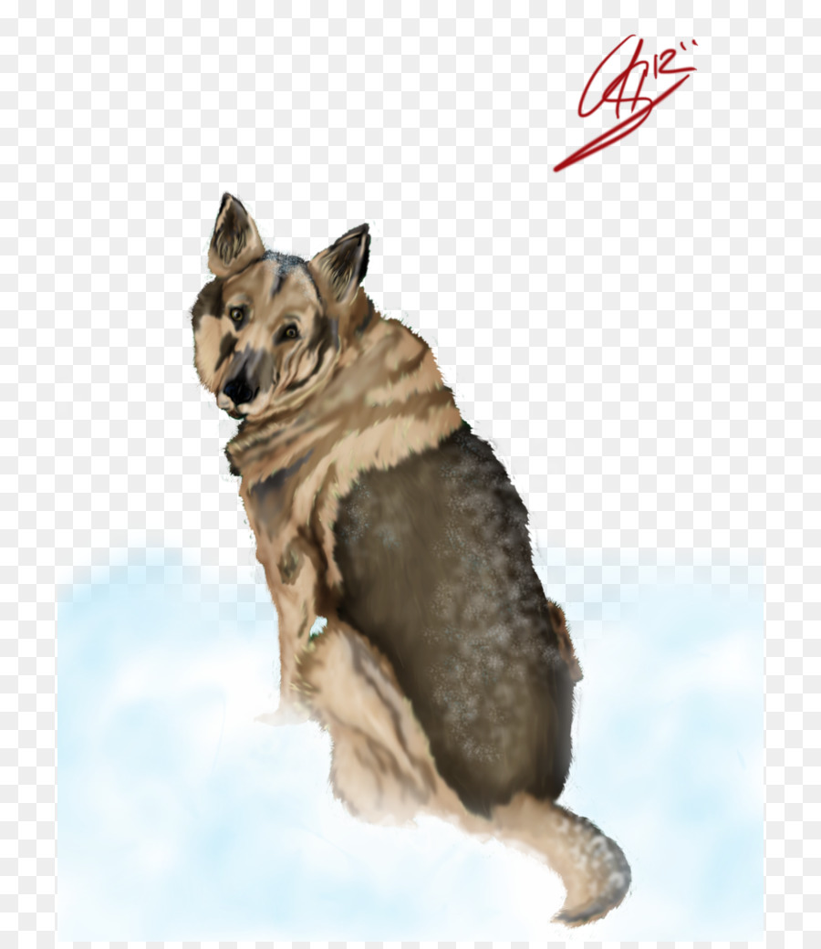 Saarloos Wolfdog，Checoslováquia Wolfdog PNG