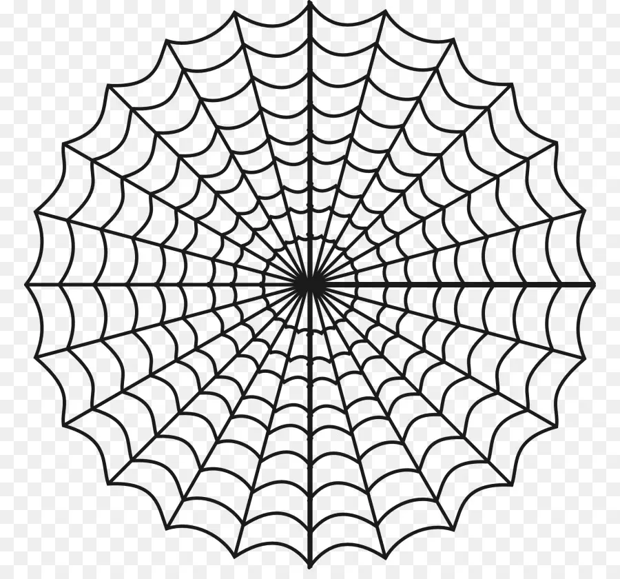 Aranha，Livro De Colorir PNG