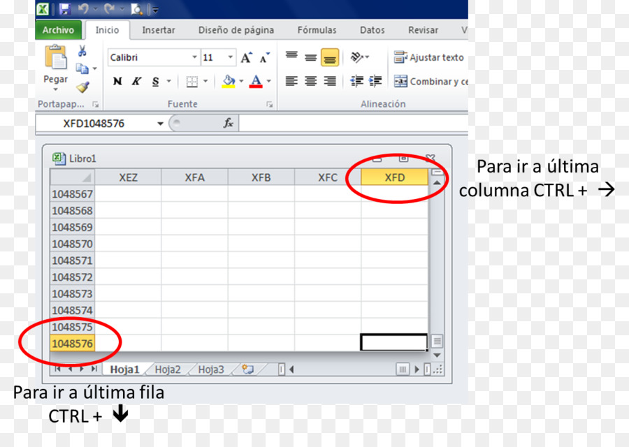 O Microsoft Excel，Modelo PNG